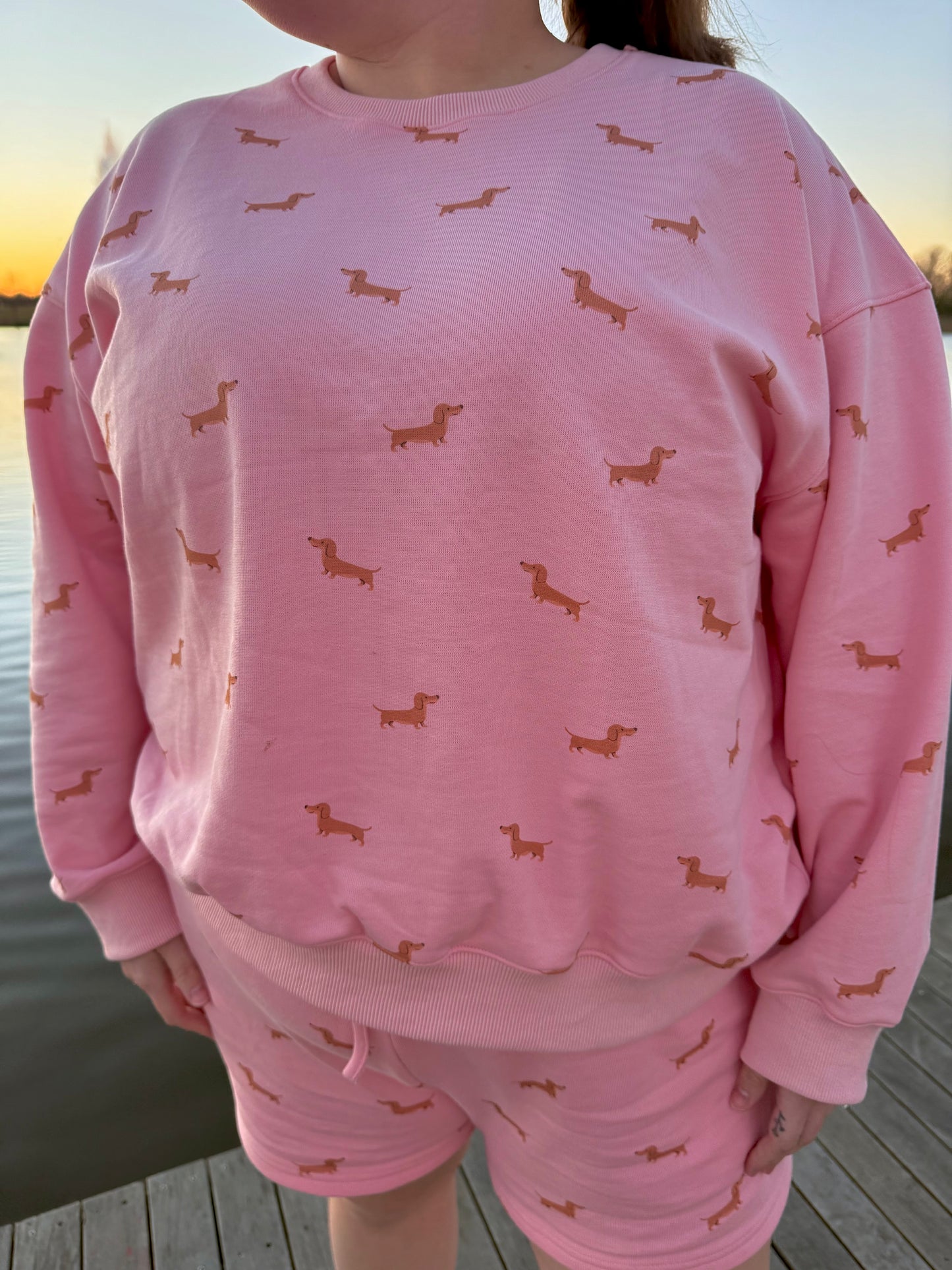 Puppy Love Lounge Set